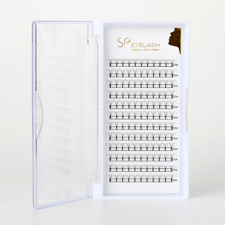 คู่มือ Ultimate To Premade Fan Lashes: สิ่งที่คุณต้องรู้